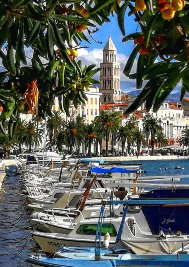 Apartment Vlatka Split Zewnętrze zdjęcie